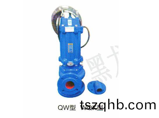QW型(xing)排(pai)汚泵(beng)